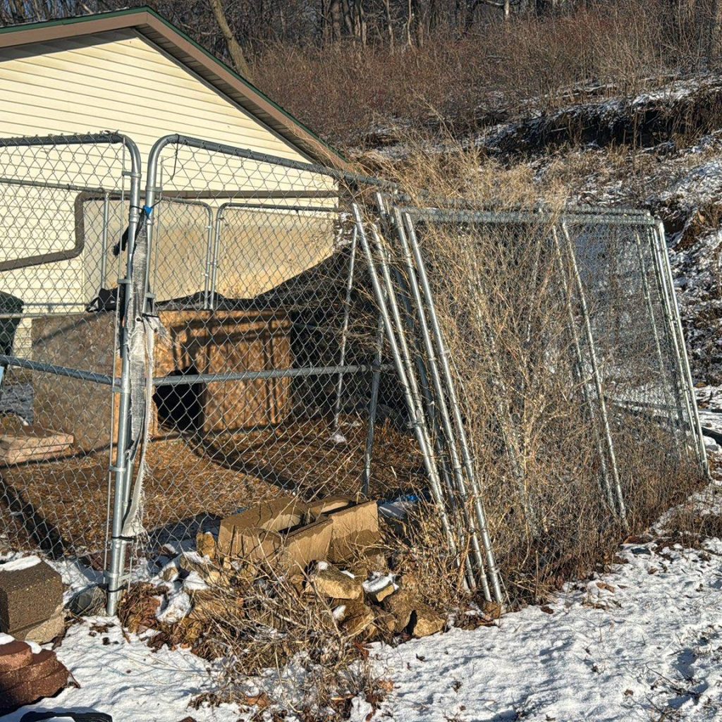 Winter Moving Backyard